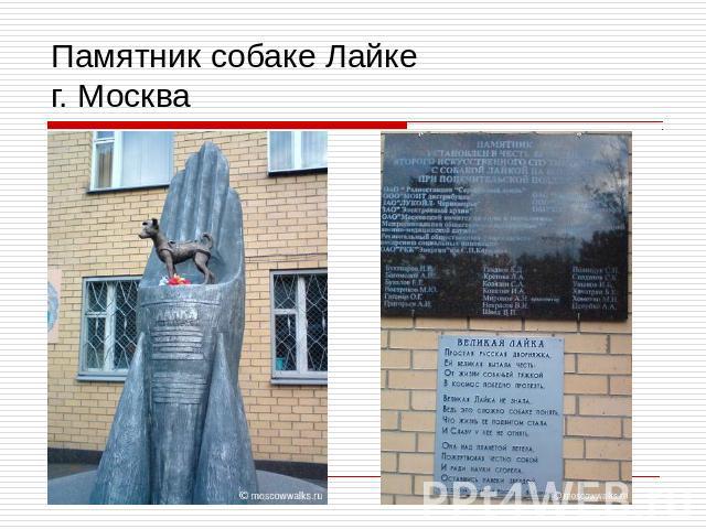 Памятник собаке Лайкег. Москва