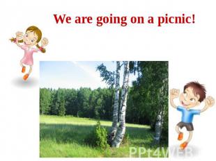 We are going on a picnic!