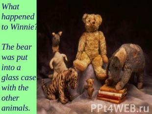 What happened to Winnie? The bear was putinto aglass case with the other animals