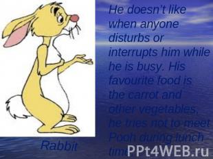 Rabbit He doesn’t like when anyonedisturbs or interrupts him while he is busy. H