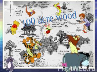100 acre wood