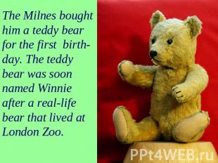 The Milnes bought him a teddy bear for the first birth- day. The teddy bear was
