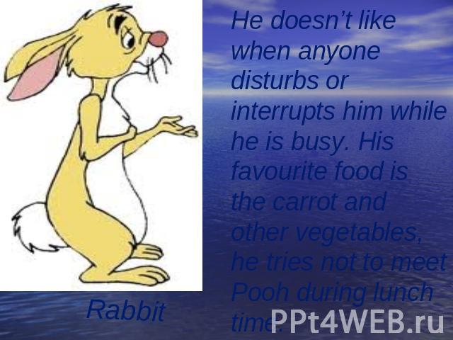 Rabbit He doesn’t like when anyonedisturbs or interrupts him while he is busy. His favourite food is the carrot and other vegetables, he tries not to meet Pooh during lunch time.