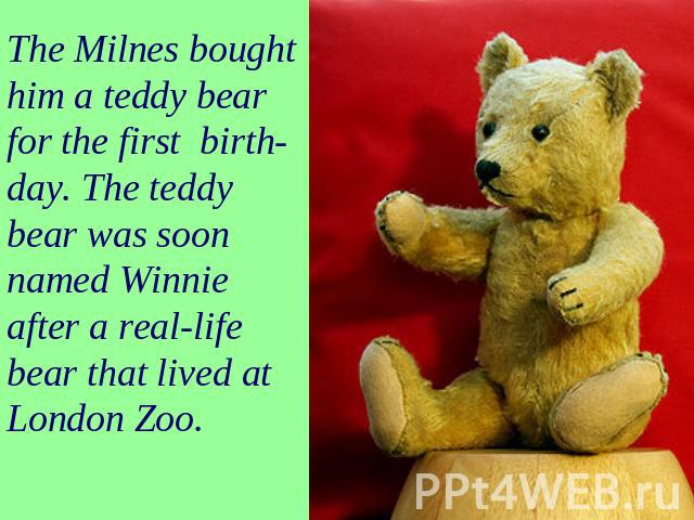 The Milnes bought him a teddy bear for the first birth- day. The teddy bear was soon named Winnie after a real-life bear that lived at London Zoo.