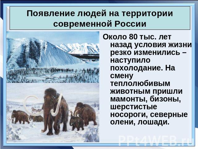 Появление людей на территории современной России Около 80 тыс. лет назад условия жизни резко изменились – наступило похолодание. На смену теплолюбивым животным пришли мамонты, бизоны, шерстистые носороги, северные олени, лошади.