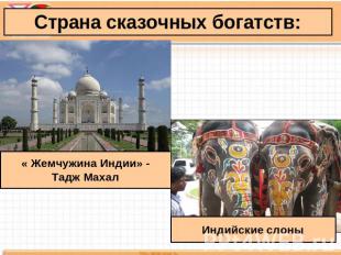 Страна сказочных богатств: « Жемчужина Индии» -Тадж Махал Индийские слоны
