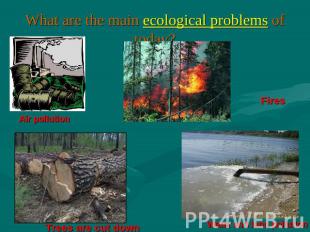 What are the main ecological problems of today? Air pollution Fires Trees are cu