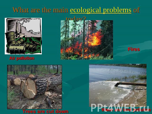 What are the main ecological problems of today? Air pollution Fires Trees are cut down Water and land pollution