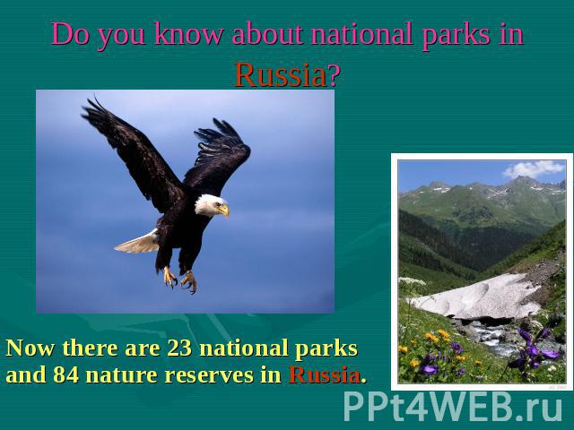 Do you know about national parks in Russia? Now there are 23 national parks and 84 nature reserves in Russia.