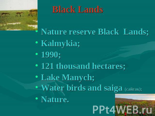 Black Lands Nature reserve Black Lands;Kalmykia;1990;121 thousand hectares;Lake Manych;Water birds and saiga (сайгак);Nature.