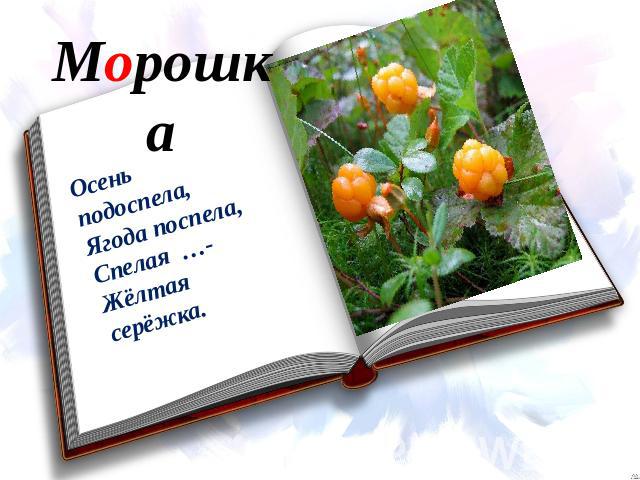 Морошка Осень подоспела,Ягода поспела,Спелая …-Жёлтая серёжка.