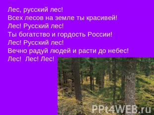 Лес, русский лес! Всех лесов на земле ты красивей!Лес! Русский лес!Ты богатство