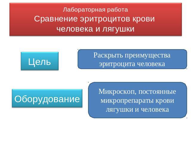 Лабораторная работаСравнение эритроцитов крови человека и лягушки ЦельОборудование Микроскоп, постоянные микропрепараты крови лягушки и человека