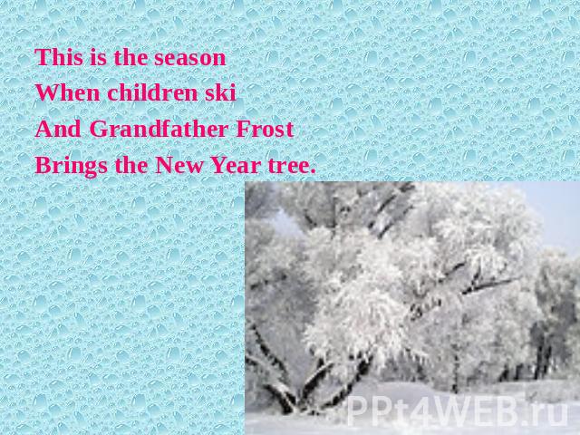 This is the seasonWhen children skiAnd Grandfather FrostBrings the New Year tree.