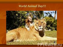 World Animal Day