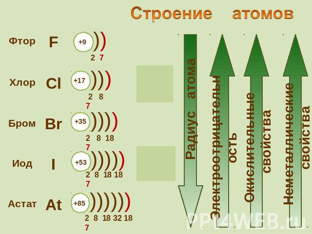 Заряд атома фтора. Строение атомов фтора, хлора, брома. Степень окисления фтор йод бром хлор Астат. Число электронов в нейтральном атоме фтор хлор бром иод.