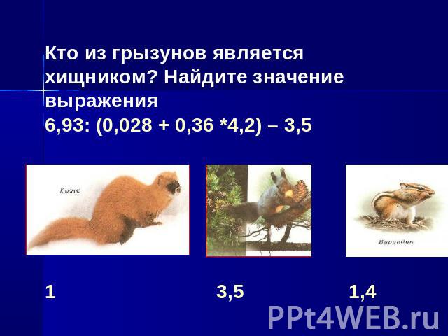 Кто из грызунов является хищником? Найдите значение выражения 6,93: (0,028 + 0,36 *4,2) – 3,51 3,5 1,4