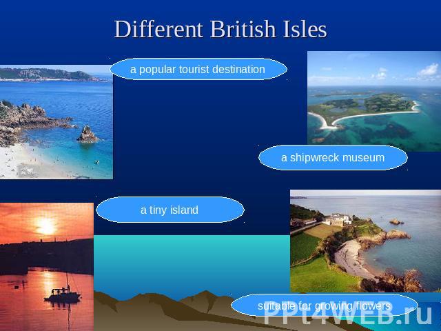Different British Isles a popular tourist destination a shipwreck museum a tiny island suitable for growing flowers