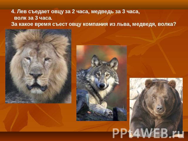 4. Лев съедает овцу за 2 часа, медведь за 3 часа, волк за 3 часа. За какое время съест овцу компания из льва, медведя, волка?