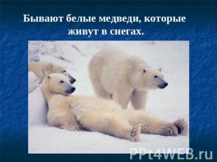 Бывают белые медведи, которые живут в снегах.