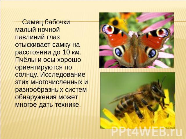 Самец бабочки малый ночной павлиний глаз отыскивает самку на расстоянии до 10 км. Пчёлы и осы хорошо ориентируются по солнцу. Исследование этих многочисленных и разнообразных систем обнаружения может многое дать технике.