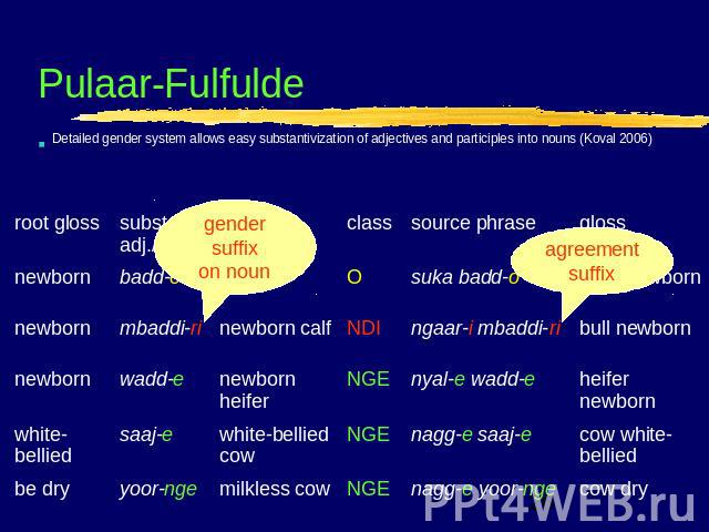 Pulaar-Fulfulde Detailed gender system allows easy substantivization of adjectives and participles into nouns (Koval 2006)