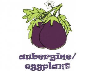 aubergine/eggplant