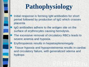 Pathophysiology Initial response is forming IgM antibodies for short period foll