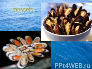 mussels мидии