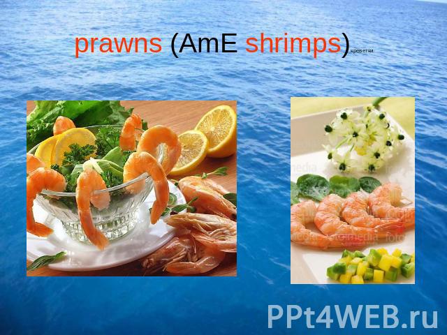 prawns (AmE shrimps)креветки