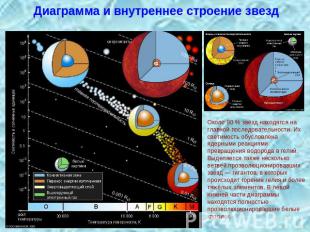 Диаграмма и внутреннее строение звезд Около 90 % звёзд находятся на главной посл