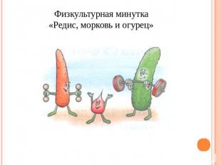 Физкультурная минутка«Редис, морковь и огурец»