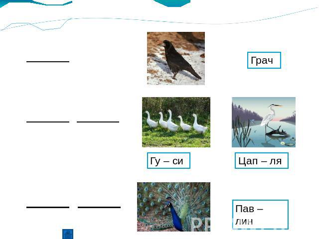 Грач Гу – си Цап – ля Пав – лин