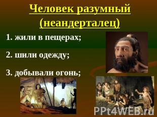 Человек разумный (неандерталец) 1. жили в пещерах;2. шили одежду;3. добывали ого