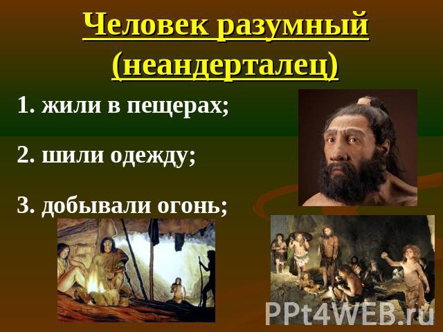 Человек разумный (неандерталец) 1. жили в пещерах;2. шили одежду;3. добывали огонь;