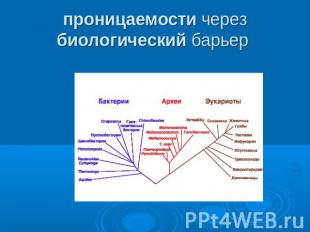 проницаемости через биологический барьер