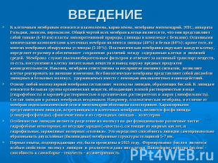 ВВЕДЕНИЕ К клеточным мембранам относятся плазмолемма, кариолемма, мембраны митох