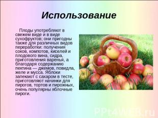Плоды употребляют в свежем виде и в виде сухофруктов; они пригодны также для раз