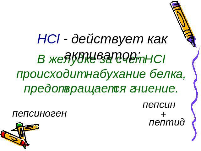 HCl - действует как активатор: В желудке за счет HСI происходит набухание белка, предотвращается гниение.