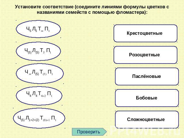 Установите соответствие (соедините линиями формулы цветков с названиями семейств с помощью фломастера):