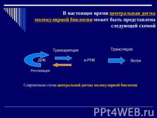 В настоящее время центральная догма молекулярной биологии может быть представлен