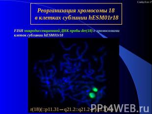 Реорганизация хромосомы 18 в клетках сублинии hESM01r18 FISH микродиссекционной