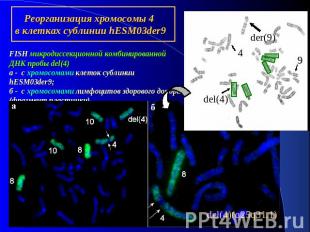 FISH микродиссекционной комбинированной ДНК пробы del(4)а - с хромосомами клеток
