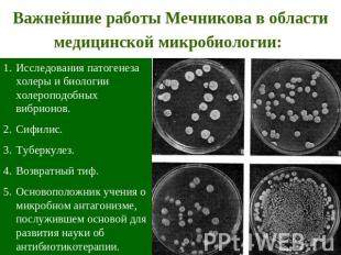 Важнейшие работы Мечникова в области медицинской микробиологии: Исследования пат