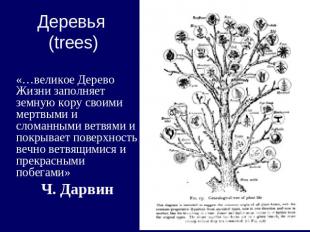 Деревья (trees) «…великое Дерево Жизни заполняет земную кору своими мертвыми и с