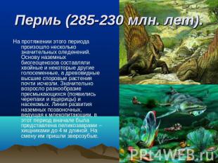 Пермь (285-230 млн. лет). На протяжении этого периода произошло несколько значит