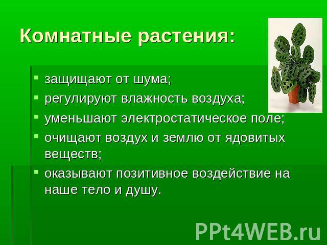 Комнатные растения: защищают от шума; регулируют влажность воздуха;уменьшают электростатическое поле;очищают воздух и землю от ядовитых веществ;оказывают позитивное воздействие на наше тело и душу.