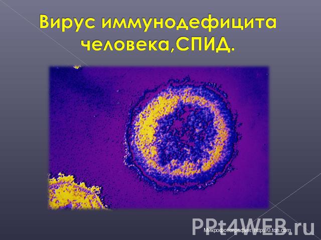 Вирус иммунодефицита человека,СПИД.