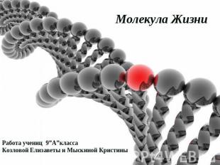 ДНК.Молекула Жизни Работа учениц 9”А”классаКозловой Елизаветы и Мыскиной Кристин