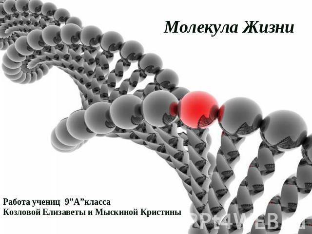 ДНК.Молекула Жизни Работа учениц 9”А”классаКозловой Елизаветы и Мыскиной Кристины